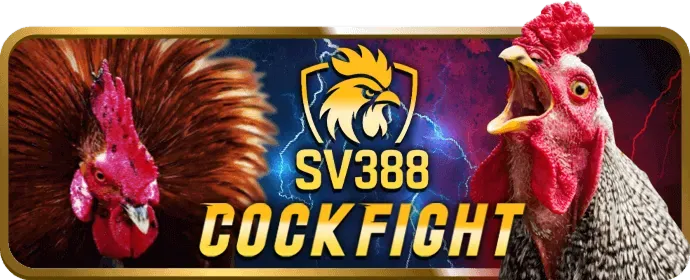Thưởng nạp tiền hàng ngày và hàng tuần tại mu88bet